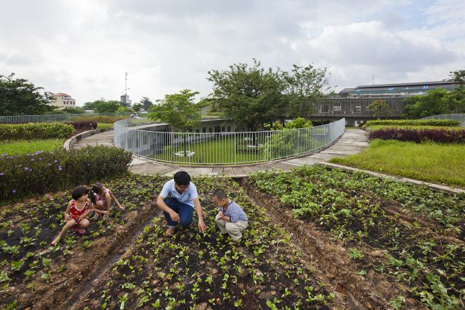 An experimental vegetable garden on the roof educates children about nature.