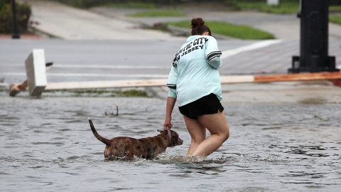 A women helps a dog walk through floodwaters in Port Orange, Florida, on October 7.