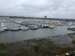 Charleston Dock