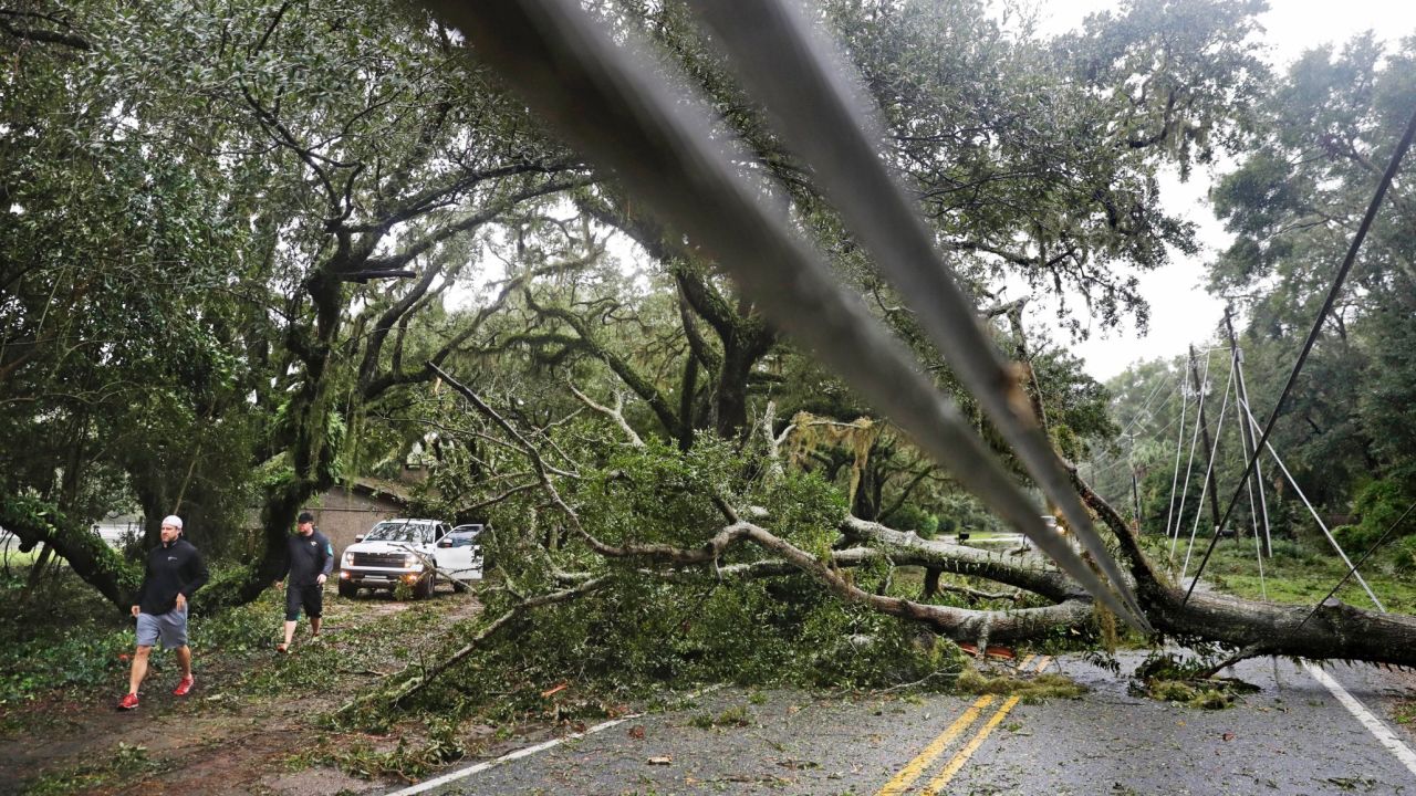 A downed tree and power lines block a road on Georgia's St. Simons Island on October 8.