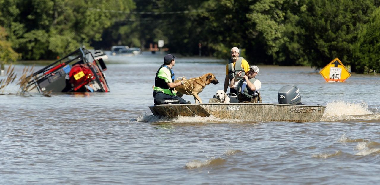 Rescue workers help several dogs that were trapped in homes in Pinetops, North Carolina, on October 9.