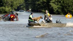 South Edgecombe Fire and Rescue workers rescue several dogs that were trapped in homes flooded by rising water from Hurricane Matthew in Pinetops, N.C., on Sunday, Oct. 9, 2016.