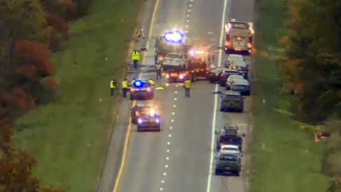 As the wrong-way driver attempted to escape he crashed into eight vehicles, police said.