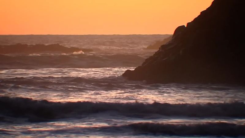 Surfer in Oregon bitten in rare shark attack | CNN