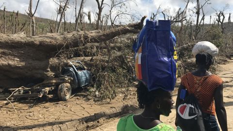 Women walk past a large tree which crashed onto a parked truck.