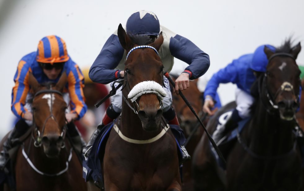 Pat Smullen, aboard Fascinating Rock (center), on his way to victory in the 2015 Qipco Champion Stakes.
