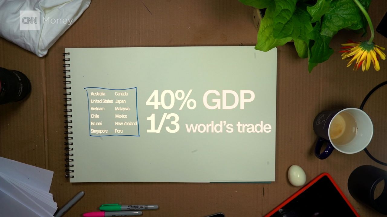 TPP Explainer