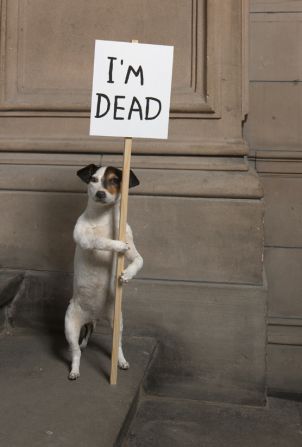 "I'm Dead" (2010), taxidermy puppy with wooden sign and acrylic paint.<br />