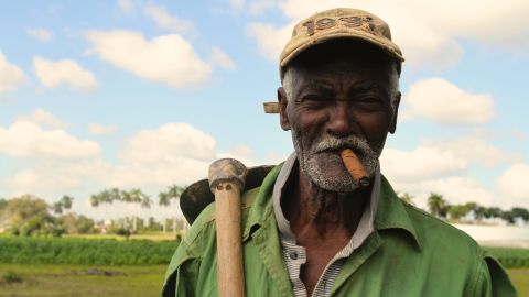 Rolando, 84, says he's worked growing tobacco for Cuba's famed cigars almost his entire life. 