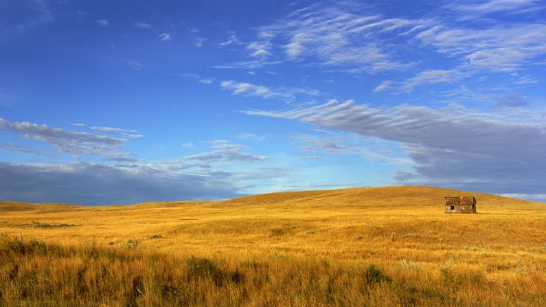 Just across the Canadian border from Montana, Grasslands National Park in Saskatchewan features some of the only remaining pristine grassland left in North America. Here, travelers can see plains bison and other threatened prairie wildlife in their natural habitat. TVs blaring election news are less common.