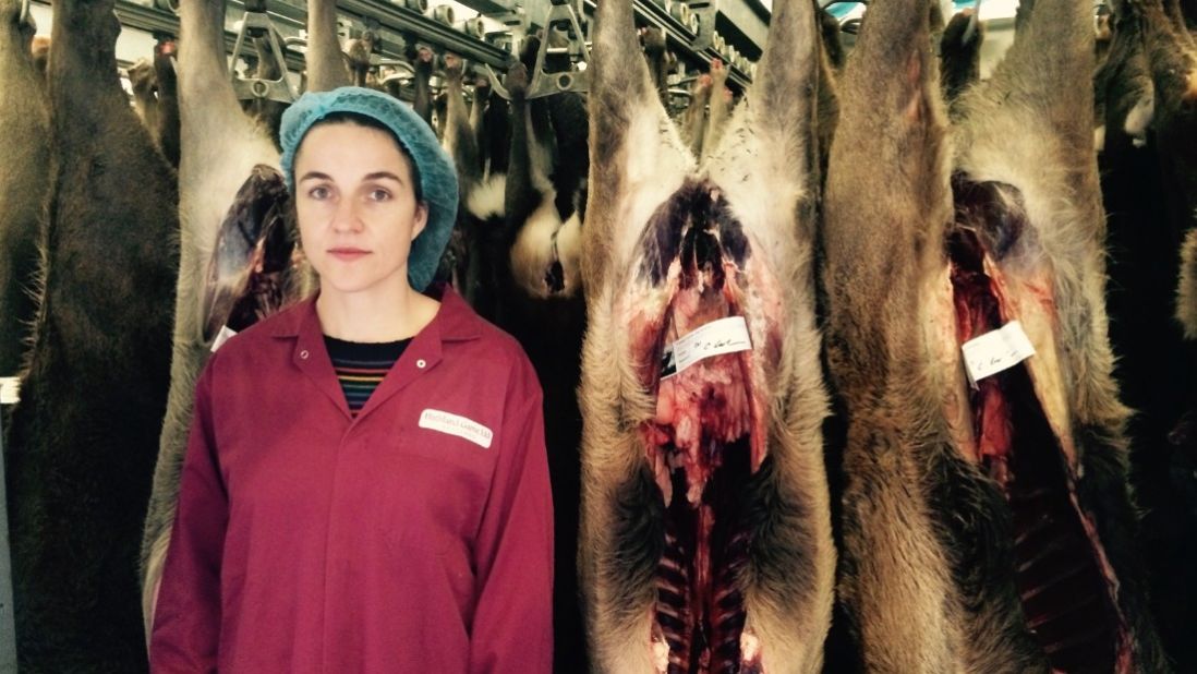 Gray had become increasingly concerned about the ethics and environmental impact of the meat industry and set out to uncover its secrets.  <br /><br />She worked alongside inside industry experts and experienced its dark sides such as slaughterhouses. 