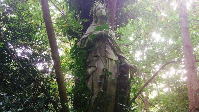 <a  target="_blank" target="_blank">Abney Park</a> is one of London's Magnificent Seven: picturesque suburban cemeteries built around the capital in the 1830s and 1840s. Salvation Army founder William Booth is one of the most famous residents. 
