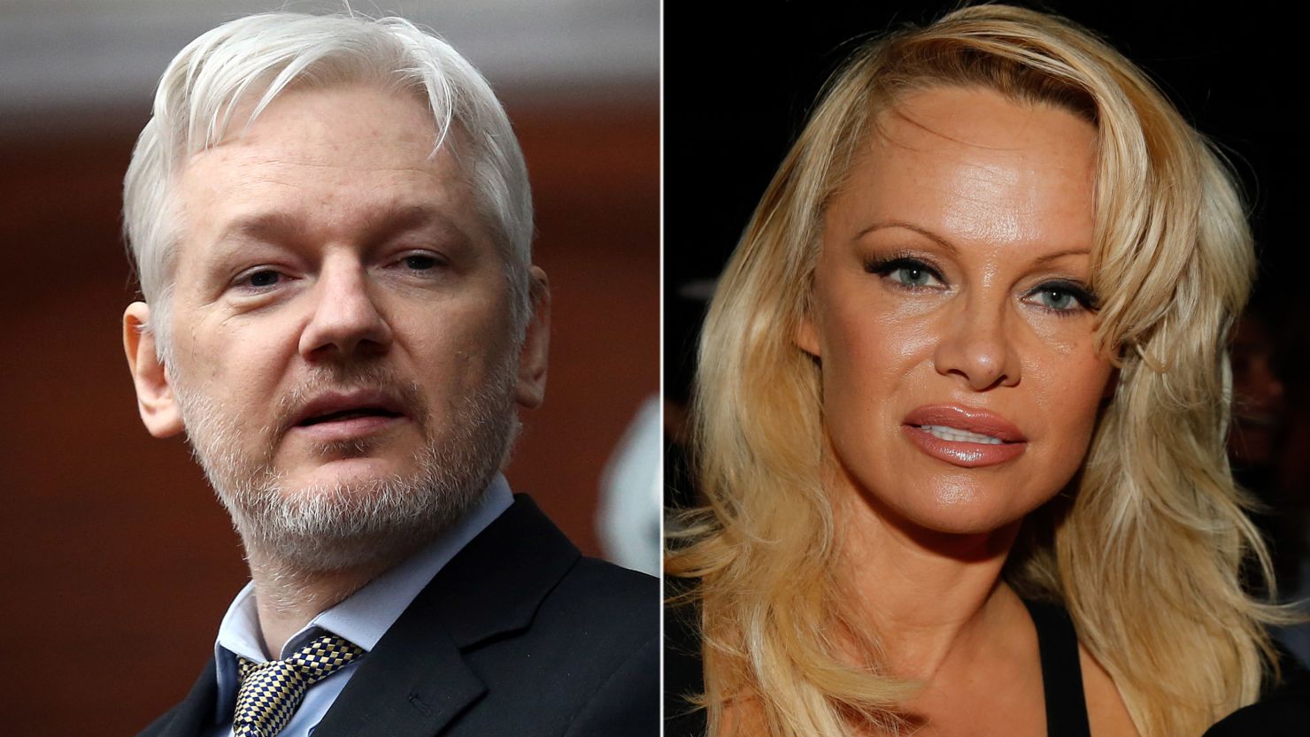 Julian Assange's Blonde Hair Conspiracy Theories - wide 9