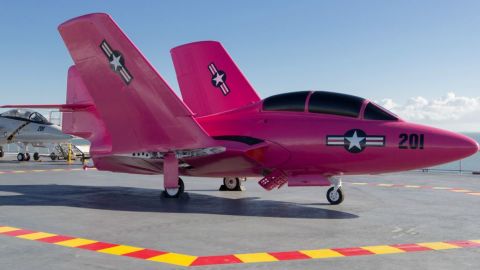The pink paint job isn't permanent. Liquid dishwashing soap applied to the paint will allow it to be removed.