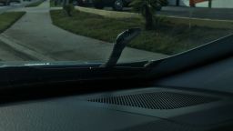 This black snake hitched a ride on a sedan in Florida.
