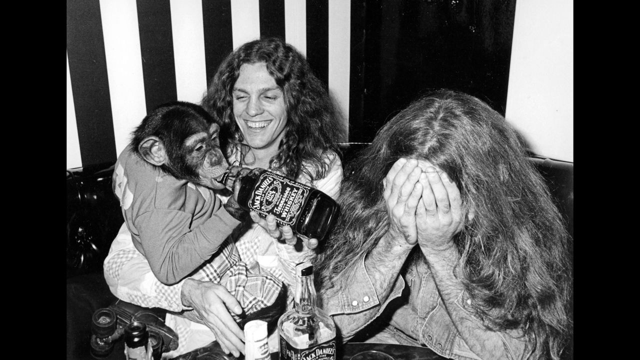 Drummer Artimus Pyle, right, and Collins party with a chimpanzee.