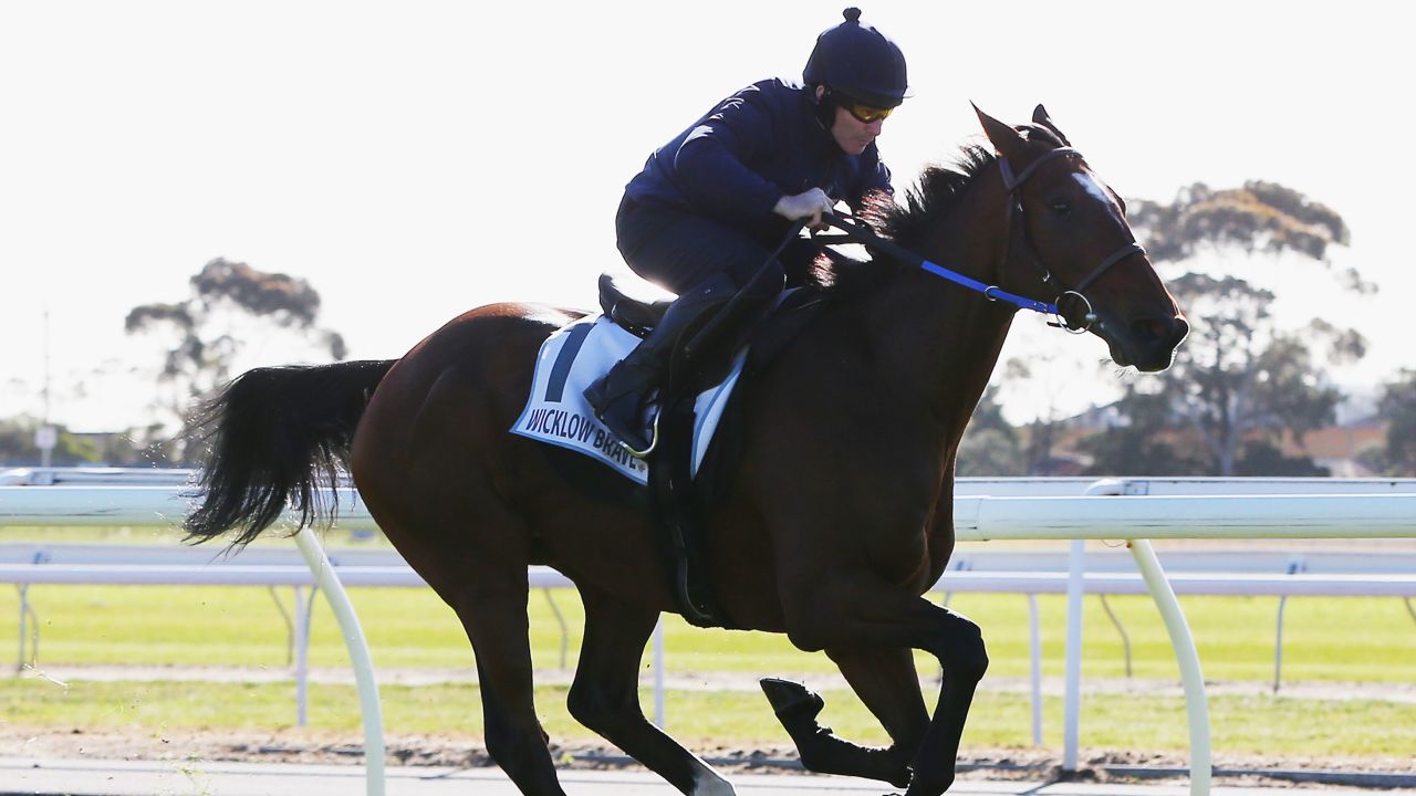 Wicklow Brave and rider David Casey gallop at Geelong racecourse in Victoria.