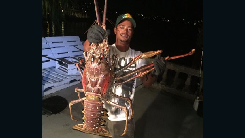 giant lobster bermuda