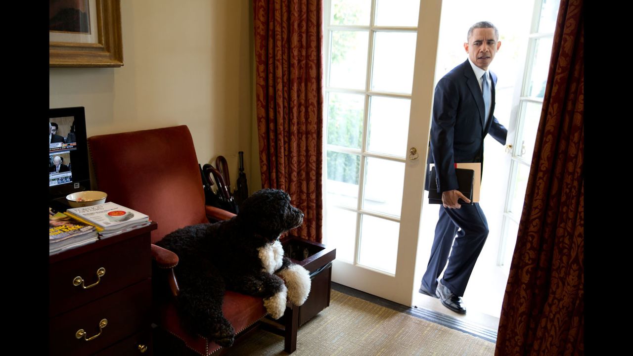 Bo, one of the Obamas' dogs, hangs out in the Outer Oval Office as the President begins his day on November 6, 2013. "Each morning, the President always enters through this door rather than the direct outside door to the Oval Office," White House photographer Pete Souza said.