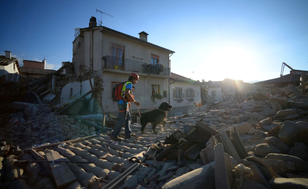 A search and rescue dog in the central Italian village of Amatrice looks for victims of a powerful earthquake that rocked the region on August 24, 2016.  