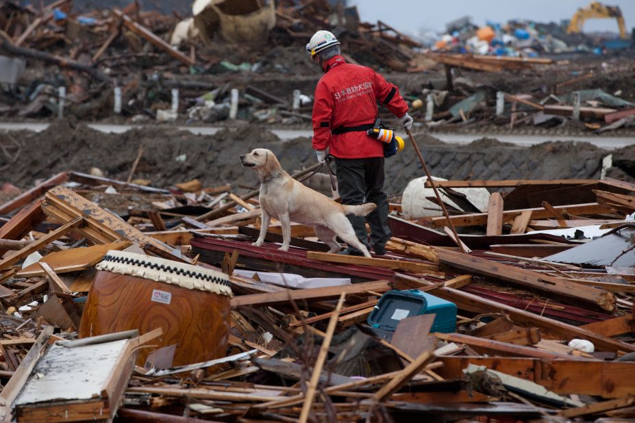 A member of the Japan Rescue Dog Association and his dog search for victims of an earthquake and tsunami in northern Japan on April 9, 2011. 