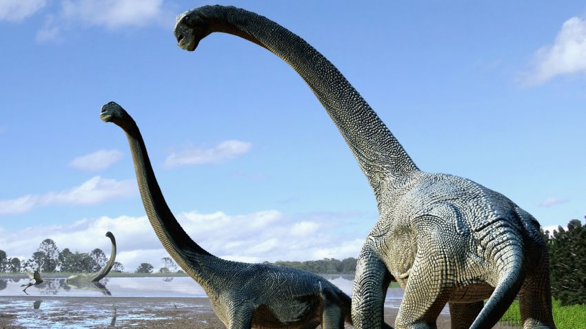 Savannasaurus elliottorum dinosaur