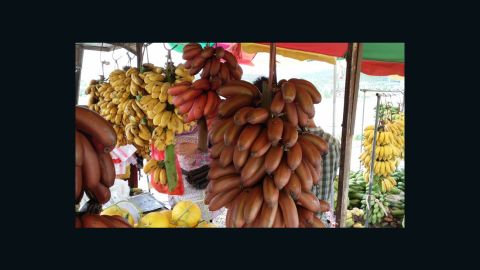 Local banana varieties in southern China. 