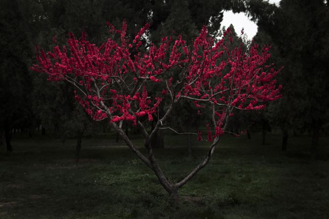 The artist's newest series, "Between Blossoms," trades personal themes for an exploration of nature and spirituality. "I personally really believe that plants are spiritual, they have energy," he says. "This project is about finding a unified perspective of the world."