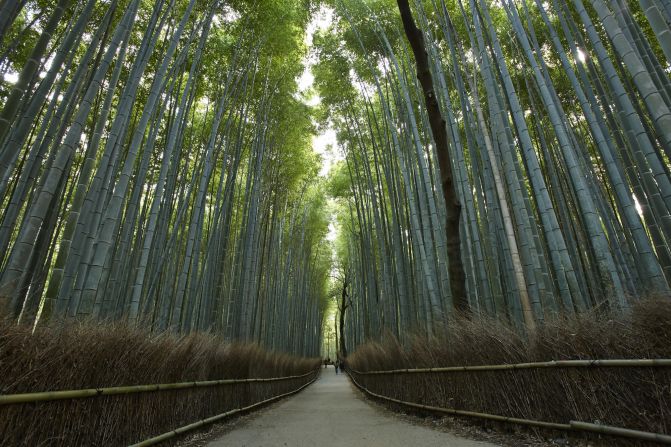<strong>Sagano Bamboo Forest: </strong><a href="index.php?page=&url=http%3A%2F%2Fwww.cnn.com%2F2014%2F08%2F11%2Ftravel%2Fsagano-bamboo-forest%2F">Sagano Bamboo Forest</a> is located in the gorgeous Arashiyama district of western Kyoto. For the best experience, head out early in the morning or late evening and avoid weekends completely, when Japanese day-trippers descend on the area.