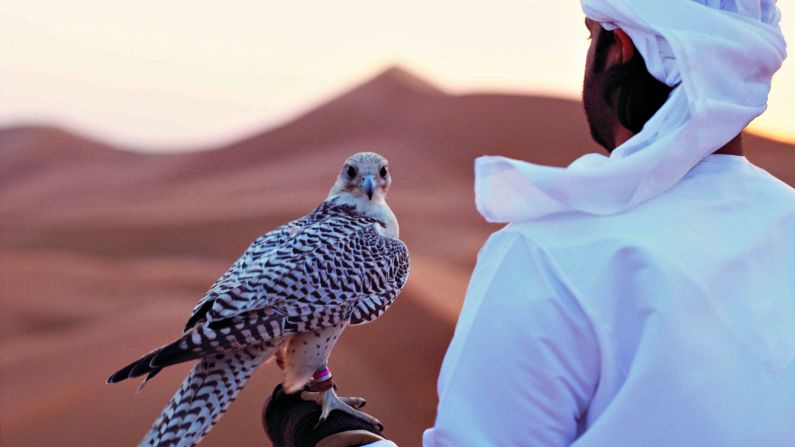 A tradition long practiced by the Bedouin nomads who've roamed the deserts of Abu Dhabi and beyond for centuries, falconry is today a popular way to entertain visitors.