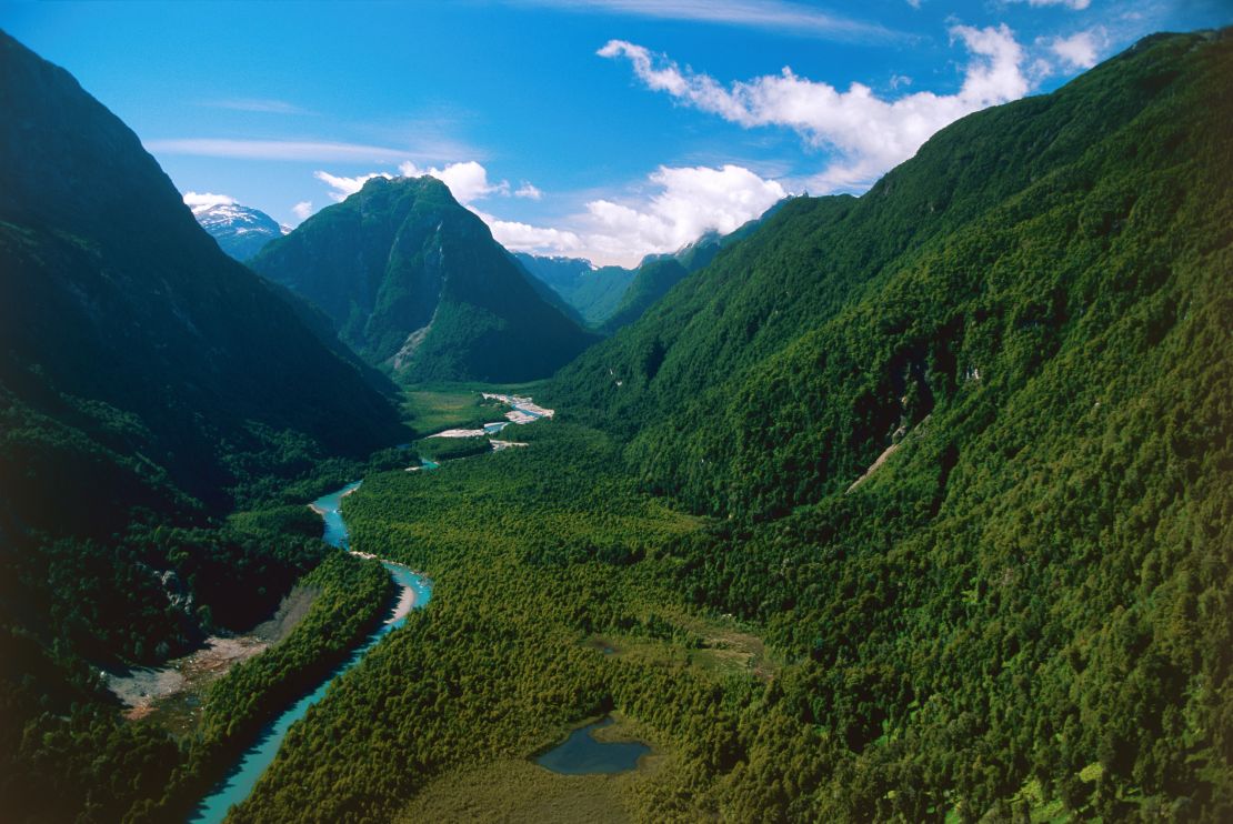 Natural gem: Chile's Pumalin Park was created by The Conservation Land Trust set up by the Tompkins.