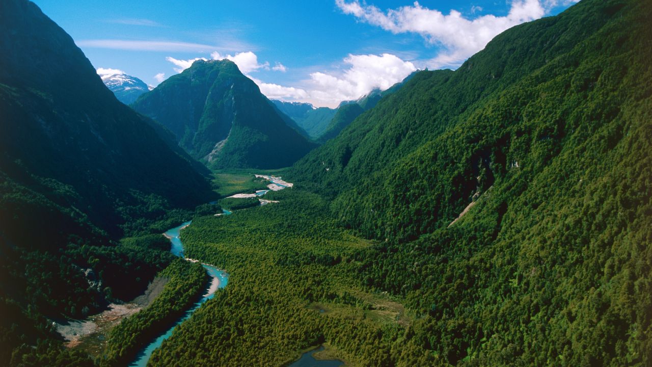 Natural gem: Chile's Pumalin Park was created by The Conservation Land Trust set up by the Tompkins.