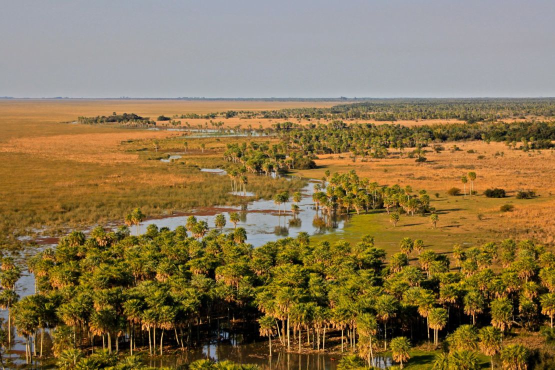 Ibera Park -- Argentina's largest provincial park covers 1.3 million acres. 