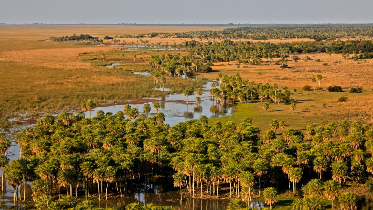 Ibera Park -- Argentina's largest provincial park covers 1.3 million acres. 