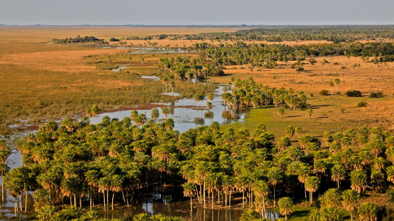 Ibera Park -- Argentina's largest provincial park covers 1.3 million acres.