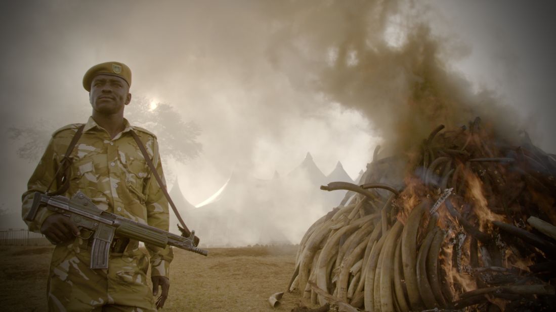 Original Netflix documentary "The Ivory Game" goes inside the illegal ivory trade to put Africa's elephant poaching crisis back on the agenda. 