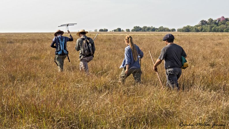 The Tompkins have a range of foundations and trusts that seek to promote and protect the varied landscapes in Patagonia. "We are not taking land out of production we are just changing what the land produces. We employ a lot of local people. Right now, we have 350 teammates in Chile and Argentina."