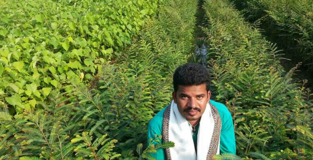 Umesh has been passionate about conservation from a young age and now acts as president for her organization, running a nursery that distributes trees to farmers.