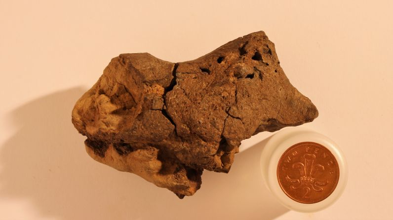 Researchers found the <a >first preserved dinosaur brain</a> in history in 2016. They believe it was preserved due to the dinosaur dying in a swamp-like environment which mixed low levels of oxygen -- known to slow decay -- and acidity which can preserve soft tissue for long periods. It is 130 million years old. 