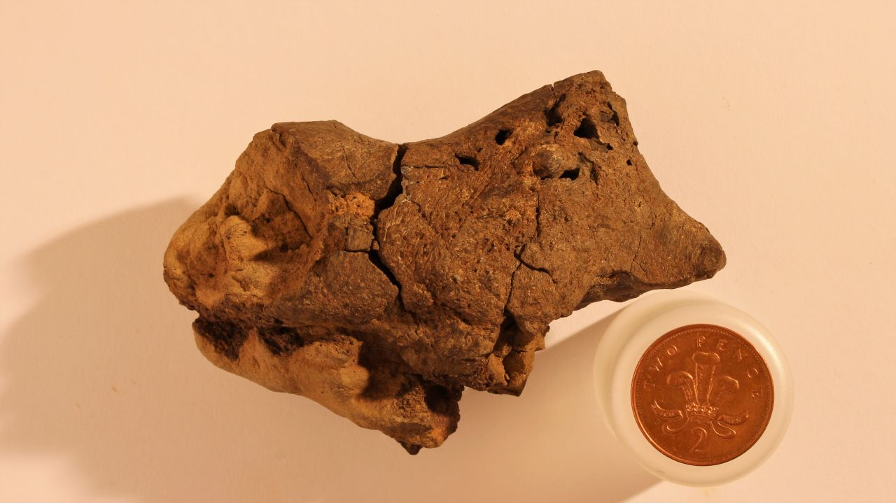 Researchers found the <a href="http://www.cnn.com/2016/10/28/health/fossil-brain-cambridge-trnd/index.html">first preserved dinosaur brain</a> in history in 2016. They believe it was preserved due to the dinosaur dying in a swamp-like environment which mixed low levels of oxygen -- known to slow decay -- and acidity which can preserve soft tissue for long periods. It is 130 million years old. 