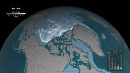 This NASA animation shows the rapid decline in the Arctic's perennial sea ice from 1984-2016