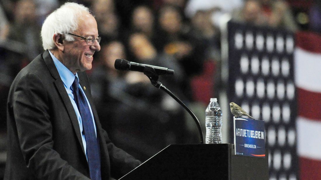 Sanders smiles at a bird after <a href="http://www.cnn.com/2016/03/26/politics/bernie-sanders-bird-drawing-together/" target="_blank">it landed on his podium</a> in Portland, Oregon, on March 25, 2016.