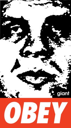 This is one of Fairey's earliest works. "My Obey campaign was about putting things on the street that you normally wouldn't encounter," Fairey told CNN. "Something that's an alternative to advertising or government signage."