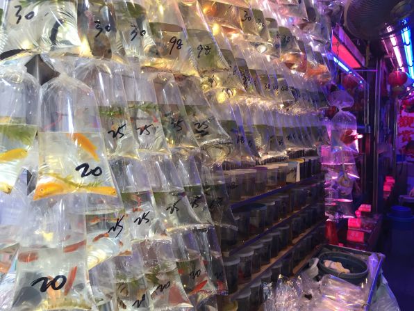 <strong>Mong Kok Goldfish Market: </strong> Mong Kok Goldfish Market is filled with photo ops. Hundreds of plastic bags containing fish hang from a floor-to-ceiling rack.