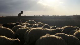 Shukar Mahmoud is an Iraqi shepherd, who along with his flock of 40 sheep, is caught between two checkpoints outside Bazwaya, a town about 4 kilometers (almost 3 miles) from Mosul. Behind him, Iraqi security forces continue to battle ISIS militants and ahead, a Kurdish checkpoint that refuses him passage because of his "Arab sheep."