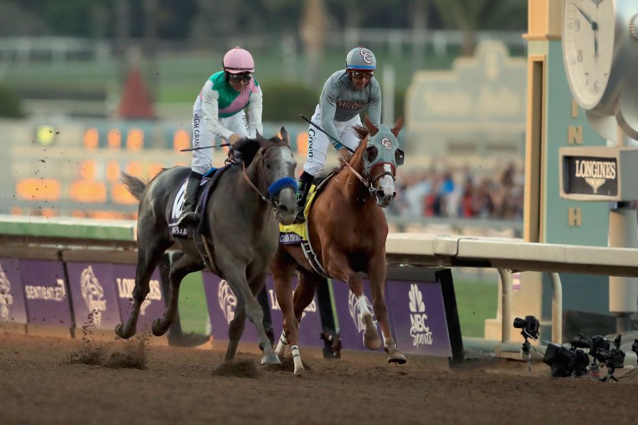 Arrogate (left) capped a triumphant debut season by winning the 2016 Breeders' Cup Classic in a dramatic finish.