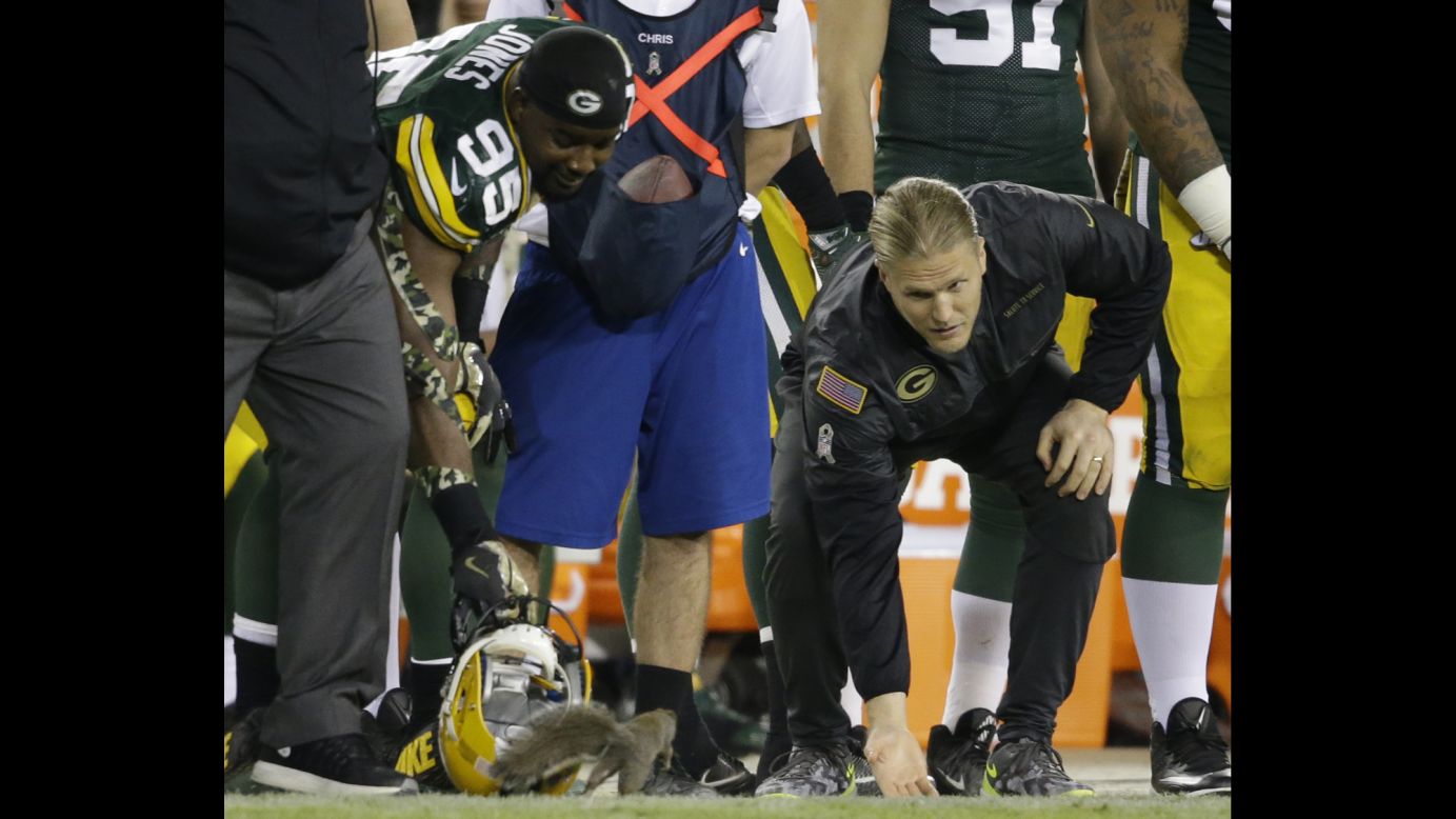 Green Bay Packers Datone Jones, left, and Clay Matthews try to catch a squirrel on the sideline during an NFL game in Green Bay, Wisconsin, on Sunday, November 6. 