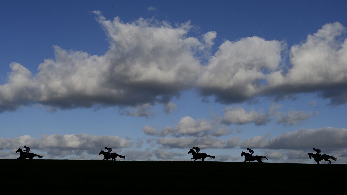 Horses race in Wincanton, England, on Saturday, November 5. <a href="http://www.cnn.com/2016/11/01/sport/gallery/what-a-shot-sports-1031/index.html" target="_blank">See 35 amazing sports photos from last week</a>