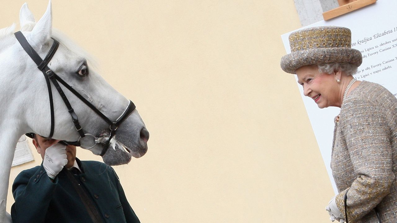 How's this for a souvenir? Queen Elizabeth was given a Lipica horse on a trip to Slovenia.