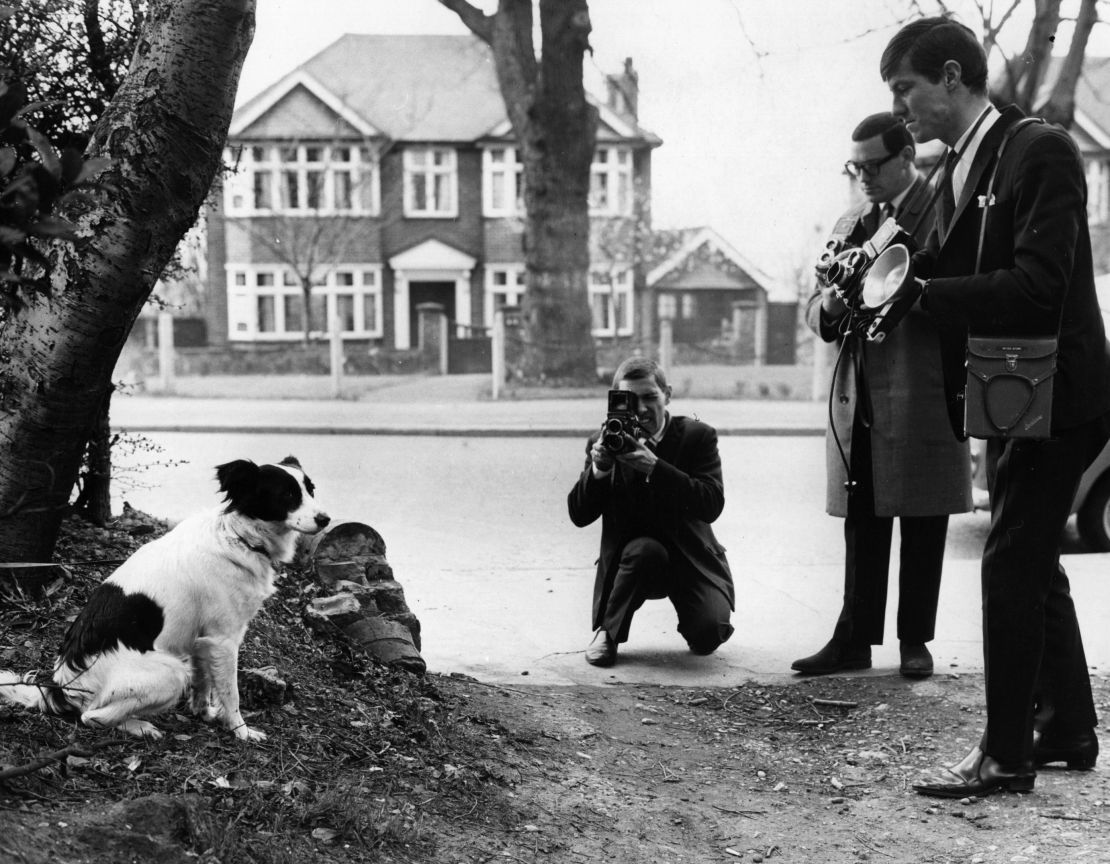 Pickles found the missing Jules Rimet World Cup Trophy in south London in March 1966.